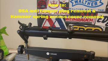 BSA anti tamper plug removal & hammer spring access cover removal #birminghamsmallarms #bsaairguns
