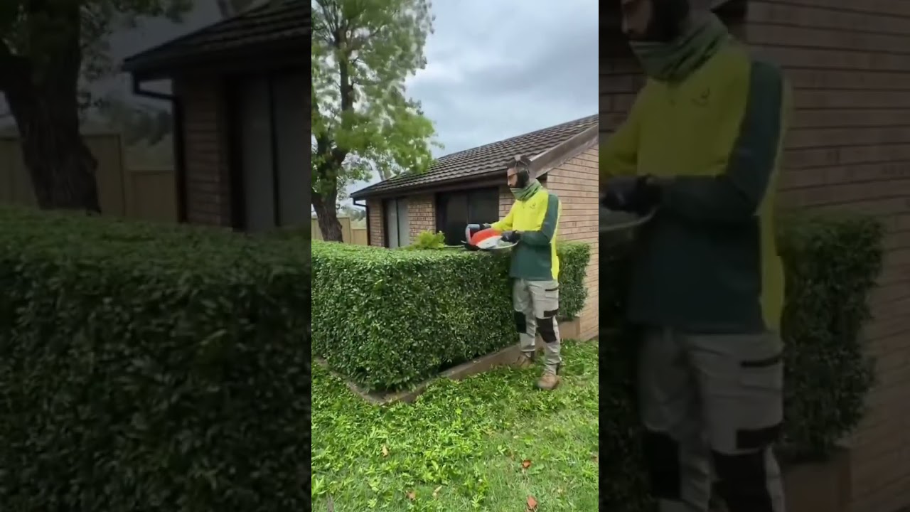 Looking for the perfect lawn and garden solution? 🌿 From mowing to full garden care, Jim’s Mowing Looking for the perfect lawn and garden solution? 🌿 From mowing to full garden care, Jim’s Mowing