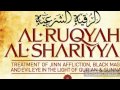 Ruqyah Of Protection From  Miscarriage رقیہ حمل کی حفاظت کے لیے