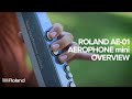 Roland AE-01 Aerophone mini: Overview