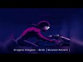 Imagine Dragons Elisa Birds Slowed Reverb 