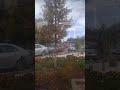 سطيف Setif سطيف Setif
