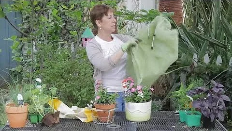 How to Prevent Frost Damage to Potted Plants : Gar...