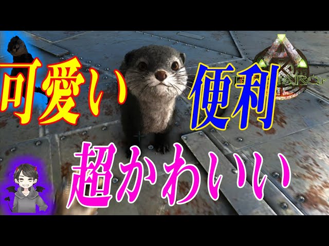 カワウソ ラグナロク