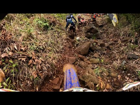 ✊🏼💨 EPIC LAST