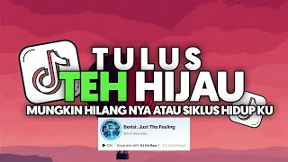 DJ TEH HIJAU - TULUS X AKU ANAK KAMPUNG FULL SONG Vel Remixer