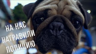 Жертвоприношение, диалог с полицией, китайский парк | Vlog #1