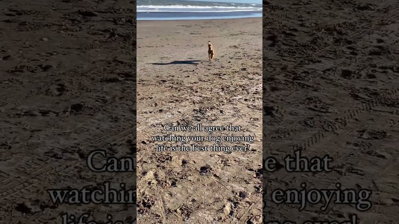 Nothing makes us happier than seeing Alba happy and enjoying life