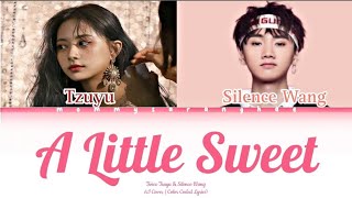 Twice Tzuyu Feat Silence Wang - A Little Sweet 有點甜 Ai Cover Color Coded Lyrics