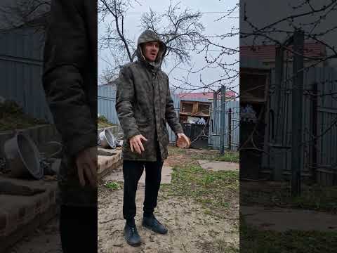 Незаменимое упражнение для здоровой спины и ровной осанки #егорзазож #здоровье #спина #осанка #зож