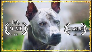 Dog Music to Sleep ~ Thai Ridgeback Music For Dogs ~ Music That Relaxes Dogs (TESTED)