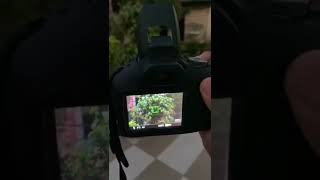 Canon 1500D Photography Performance In 2022