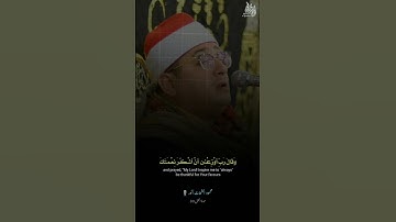 جواب رائع من الشيخ محمود الشحات أنور 🤍🎙️|| سورة النمل