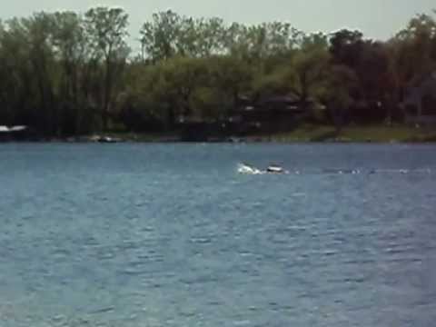 Bryant lake swim 5/15/11