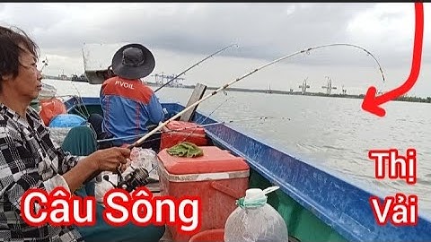 Câu Cá Đù và Cá Ngát Sông với Cần Thủ Nữ Câu Sông Thị Vải || Đam mê câu cá