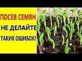 Посев семян. Не делайте таких ошибок при посеве семян, чтобы получить хорошую всхожесть семян!