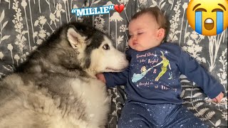 BABY SAYS “MILLIE” FOR THE FIRST TIME!!!. [CUTEST VIDEO EVER!!!!!!!!]
