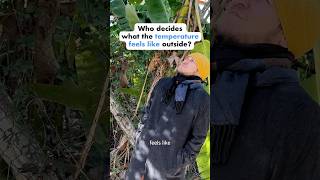 How is the “feels like” temperature calculated?