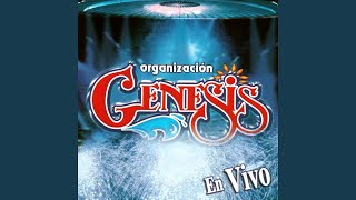 Video thumbnail of "Organización Génesis - El Chicle (En Vivo)"