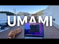 How to integrate Umami with Wordpress (Step by step tutorial)