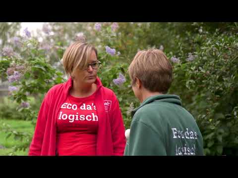Video: Hoe Een Schaduwrijke Bloementuin In De Tuin Te Creëren