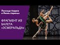 Па де де из балета «Эсмеральда» / Pas de Deux from Esmeralda 2015 Full HD