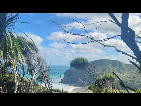 뉴질랜드기행/우리FM방송국/아름다운 뉴질랜드와 함께/진행/박성희MC