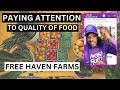 Why You Paying Attention to The Quality of Food - Free Haven Farms
