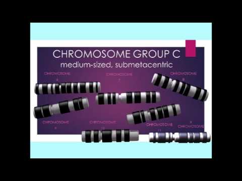 वीडियो: गुणसूत्रों के समूह को क्या कहते हैं?