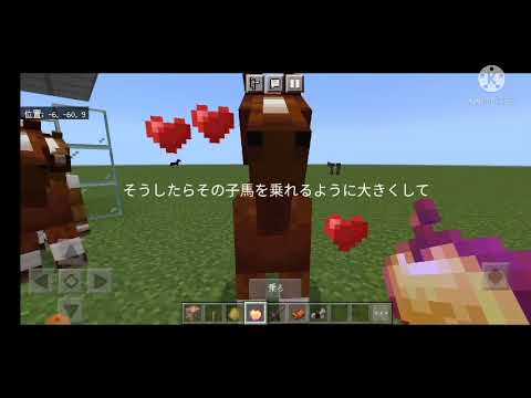 コマンド使って高速馬を作る