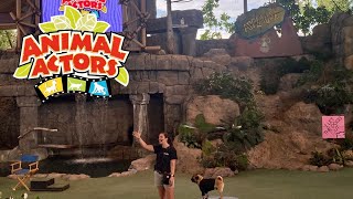 Animal Actors On Location! Full Show Performance | Universal Studios Florida 2023