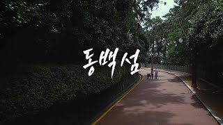 동백섬 영상