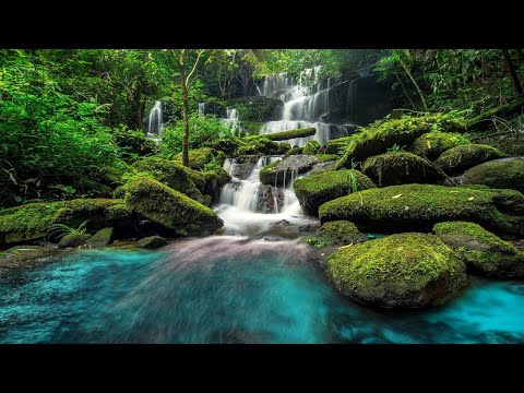 Relaxing Piano Music: Sleep Music, Water Sounds, Meditation Music, Relaxing Music ★45🍀