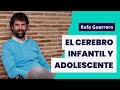 Rafa Guerrero: El cerebro infantil y adolescente