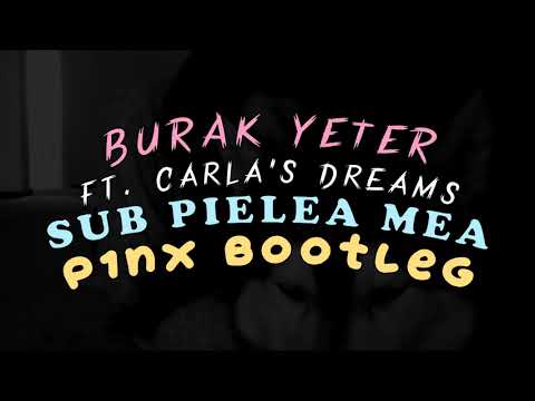 Sub Pielea Mea (P1NX Bootleg) ft. Carla's Dreams 