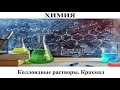 Химия # 39. Коллоидные растворы. Крахмал