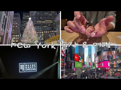 🇺🇸 미국 대기업 출장 vlog | 억만장자한테 스시 얻어먹기 🍣, 인종차별...?, 크리스마스🎄