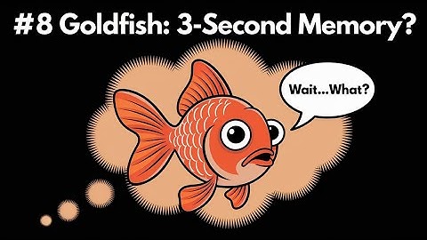 Do Goldfish Really Have a 3-Second Memory? | Debunked #8
