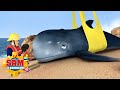 ¡Salvando a la ballena! | Oficial de Sam el Bombero | Dibujos animados