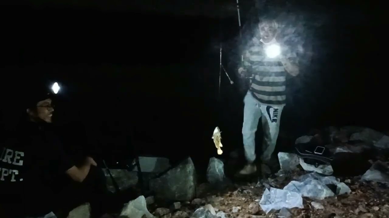 mancing ikan gelame malam-malam ditepi sungai 