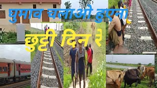 Ghumaw Chalak Huyuch Kana Santali Vlog Vedio Munna Besra Vlog