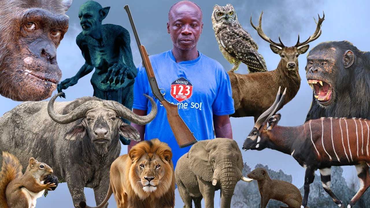 Eei😒UNBELIEVABLE, I met a strange white tall man holding a gun in the forest. A Big ELEPHANT warn me