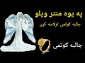 د شاپیری څخه جالبه ګوتمی ترلاسه کړی ډیر اسانه عمل دی 