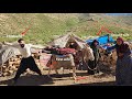 ⛰️ What goes on behind the tranquility of nomadic life? The unseen challenges 💔.