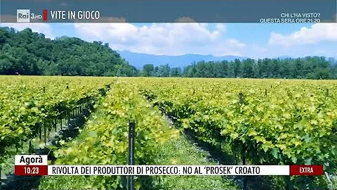Quanti sono i produttori di Prosecco?