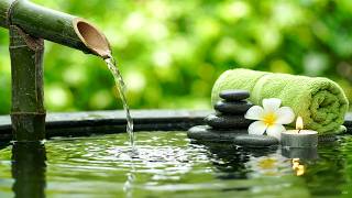 Bamboo Garden Fountain — Peaceful Water, Light Piano Therapy and Spa Ambience for Stress Relief screenshot 5