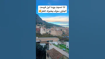 اذا نسيت يوما اين غرست البذور سوف يخبرك المطر حكم حالات واتس القرآن 