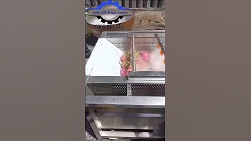 MÁY RỬA RAU CỦ VÀ TRÁI CÂY TỰ ĐỘNG, MÁY RỬA RAU CỦ QUẢ CÔNG NGHIỆP