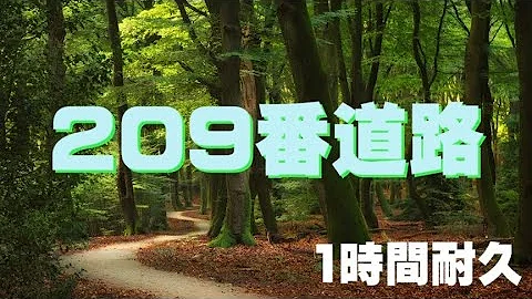 ポケモンダイパbgm耐久
