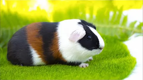 УДИВИТЕЛЬНЫЕ ГОЛОСА ЖИВОТНЫХ, звуки которые издают животные.